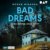 BAD DREAMS – Deine Träume lügen nicht: Ungekürzte Lesung mit Nora Schulte (1 mp3-CD): Ungekürzte Lesung mit Nora Schulte (1 mp3-CD), Lesung - 1