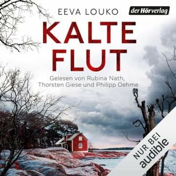 Kalte Flut: Ronja Vaara 1 - 1