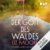 Der Gott des Waldes - 1