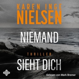 Niemand sieht dich: Grenzland, Band 2 - 1